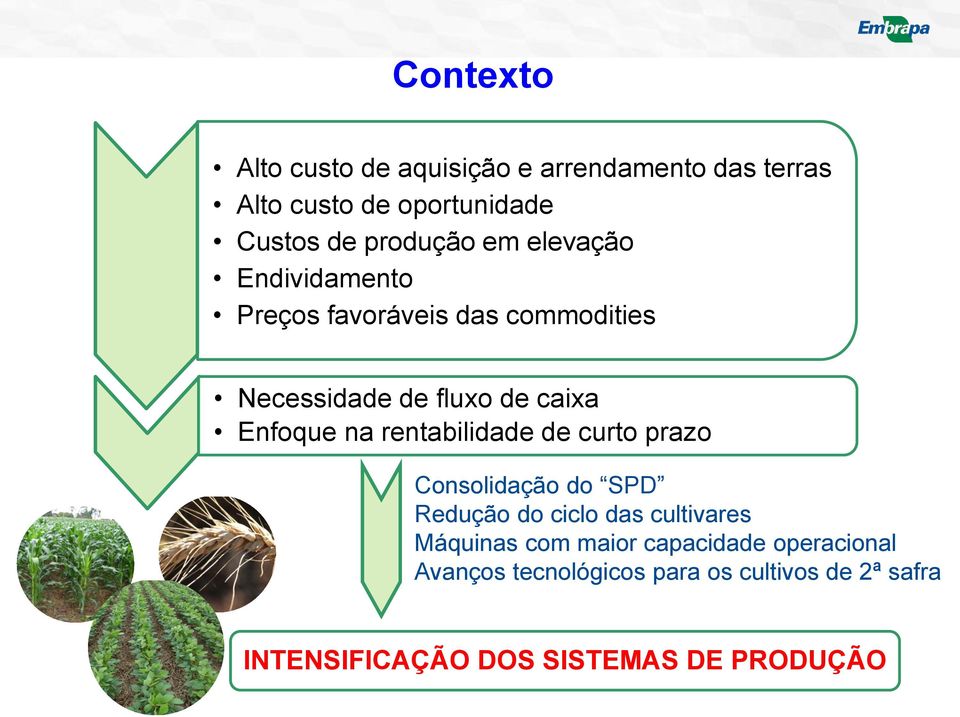 rentabilidade de curto prazo Consolidação do SPD Redução do ciclo das cultivares Máquinas com maior