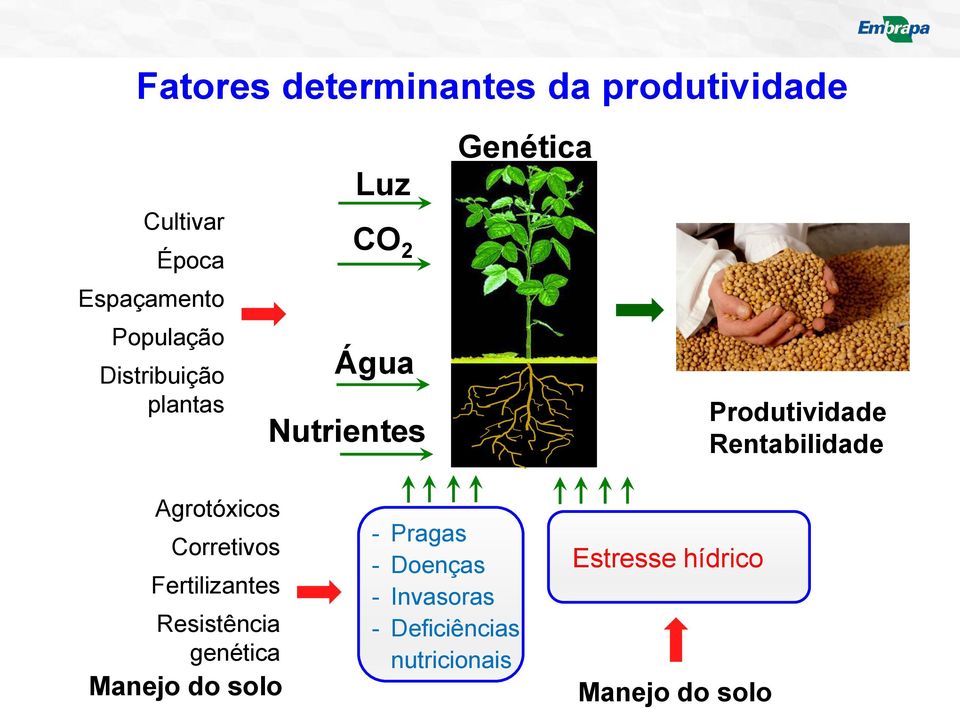 Rentabilidade Agrotóxicos Corretivos Fertilizantes Resistência genética Manejo