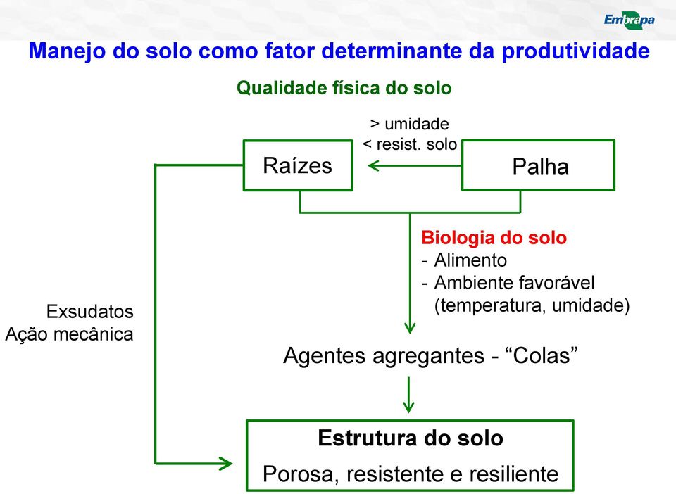 solo Palha Exsudatos Ação mecânica Biologia do solo - Alimento -