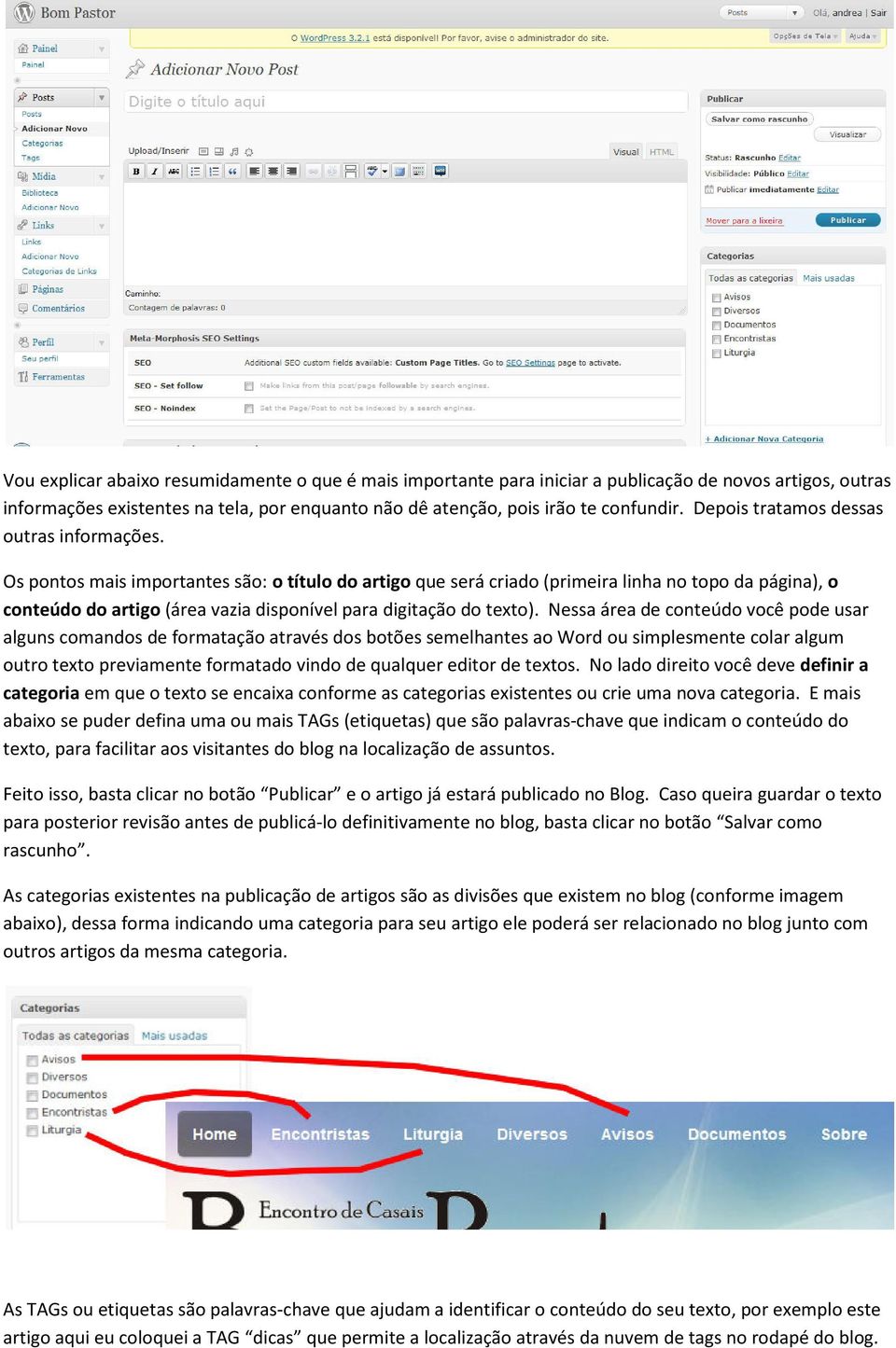 Os pontos mais importantes são: o título do artigo que será criado (primeira linha no topo da página), o conteúdo do artigo (área vazia disponível para digitação do texto).