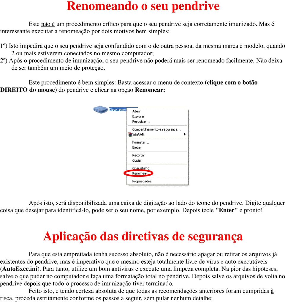 conectados no mesmo computador; 2º) Após o procedimento de imunização, o seu pendrive não poderá mais ser renomeado facilmente. Não deixa de ser também um meio de proteção.