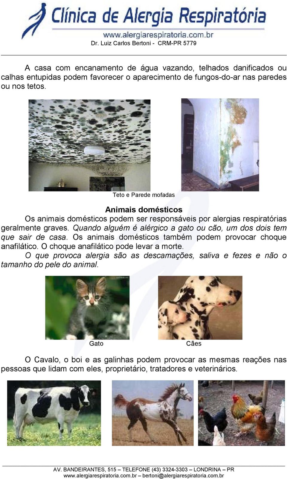 Quando alguém é alérgico a gato ou cão, um dos dois tem que sair de casa. Os animais domésticos também podem provocar choque anafilático.