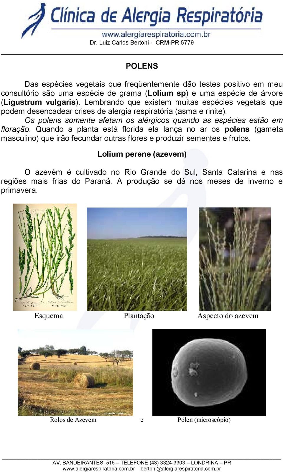 Os polens somente afetam os alérgicos quando as espécies estão em floração.