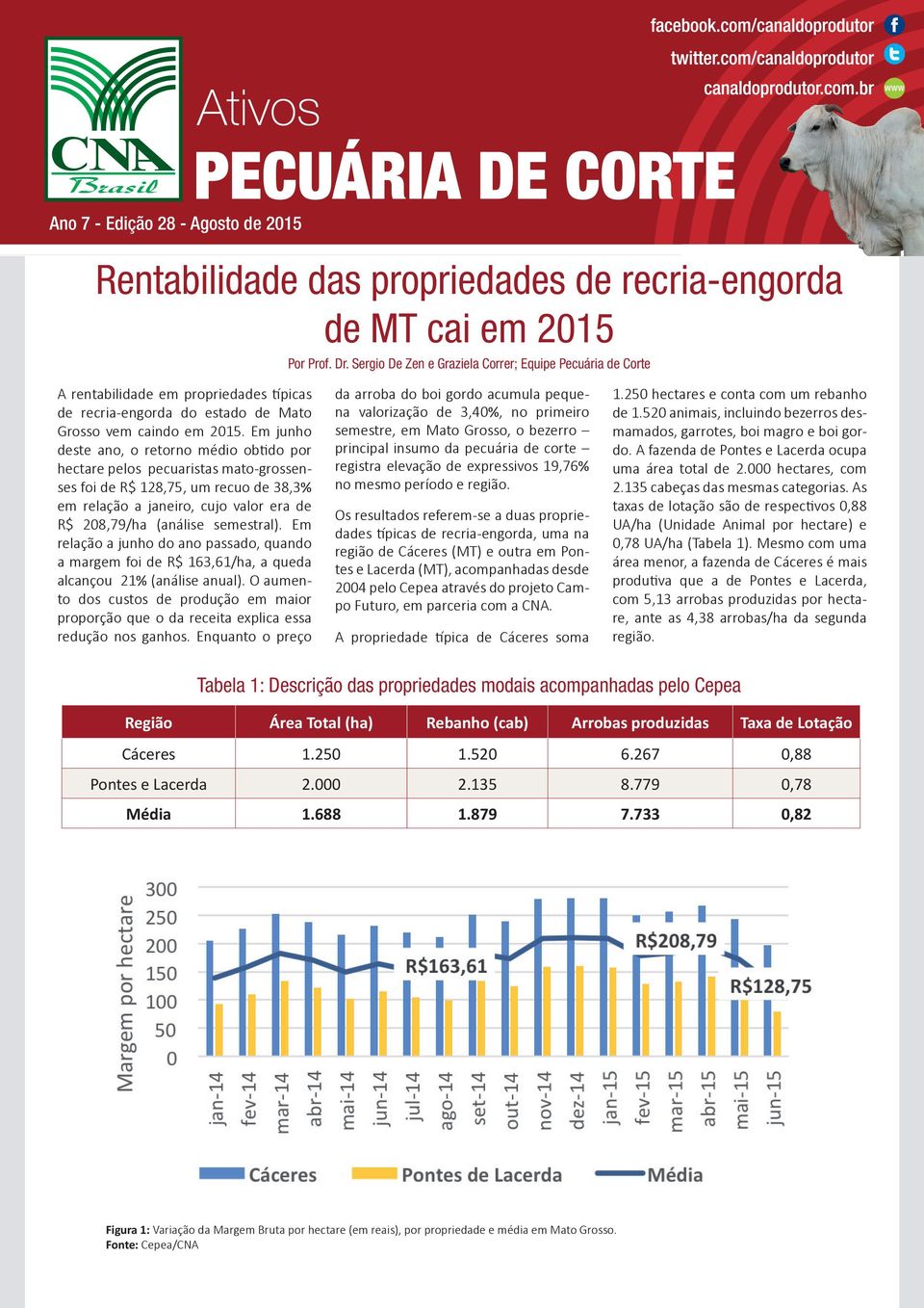 Em junho deste ano, o retorno médio obtido por hectare pelos pecuaristas mato-grossenses foi de R$ 128,75, um recuo de 38,3% em relação a janeiro, cujo valor era de R$ 208,79/ha (análise semestral).