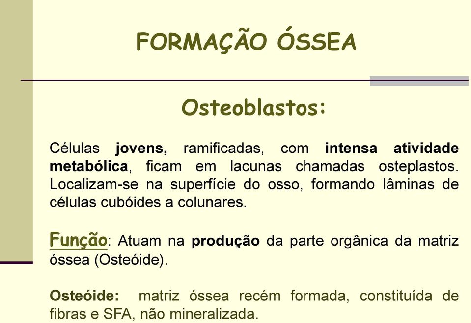 Localizam-se na superfície do osso, formando lâminas de células cubóides a colunares.