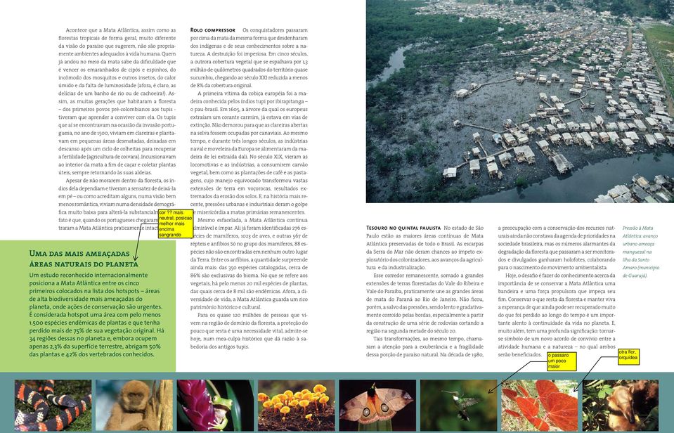 Em cinco séculos, já andou no meio da mata sabe da dificuldade que a outrora cobertura vegetal que se espalhava por 1,3 é vencer os emaranhados de cipós e espinhos, do milhão de quilômetros quadrados