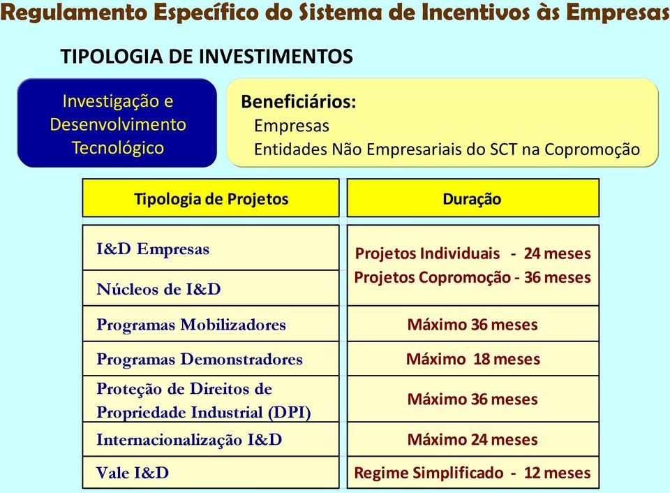 Proteção de Direitos de Propriedade Industrial (DPI) Internacionalização I&D Vale I&D Projetos Individuais - 24 meses