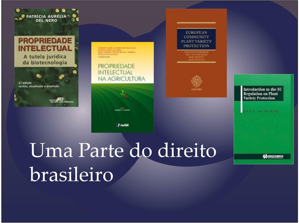 direito