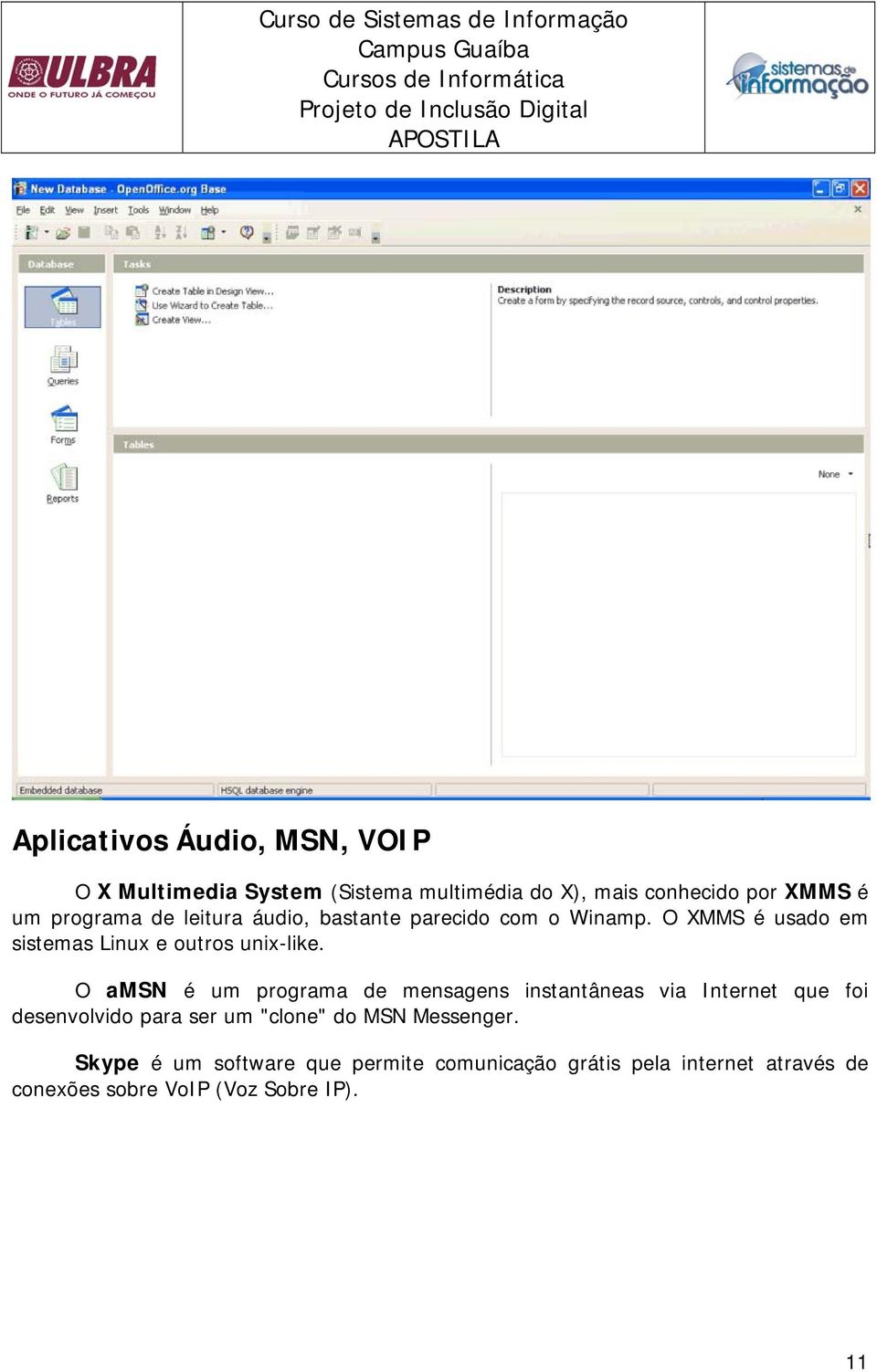 O amsn é um programa de mensagens instantâneas via Internet que foi desenvolvido para ser um "clone" do MSN