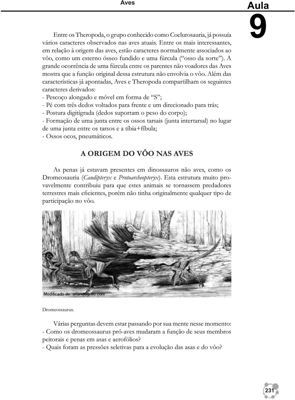 A grande ocorrência de uma fúrcula entre os parentes não voadores das Aves mostra que a função original dessa estrutura não envolvia o vôo.