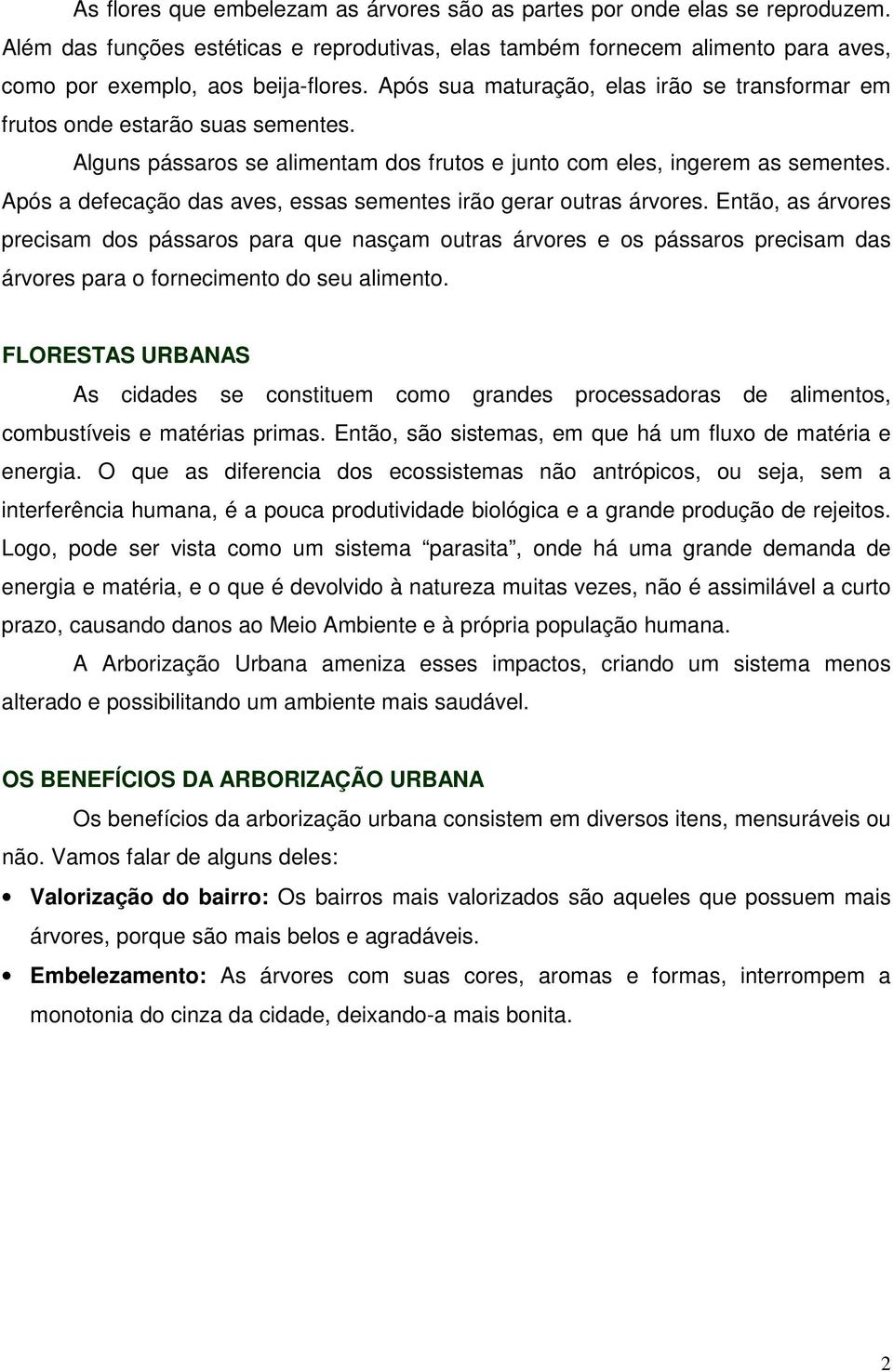 Após a defecação das aves, essas sementes irão gerar outras árvores.