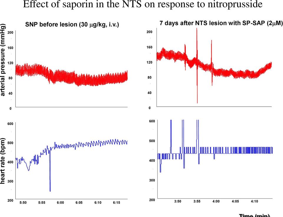 ) 7 days after NTS lesion with SP-SAP (2mM) 160 160 120 120 80 80 40 40 0