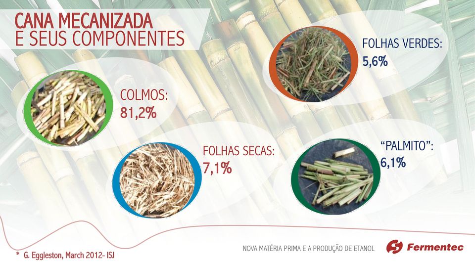 COLMOS: 81,2% FOLHAS SECAS: 7,1%