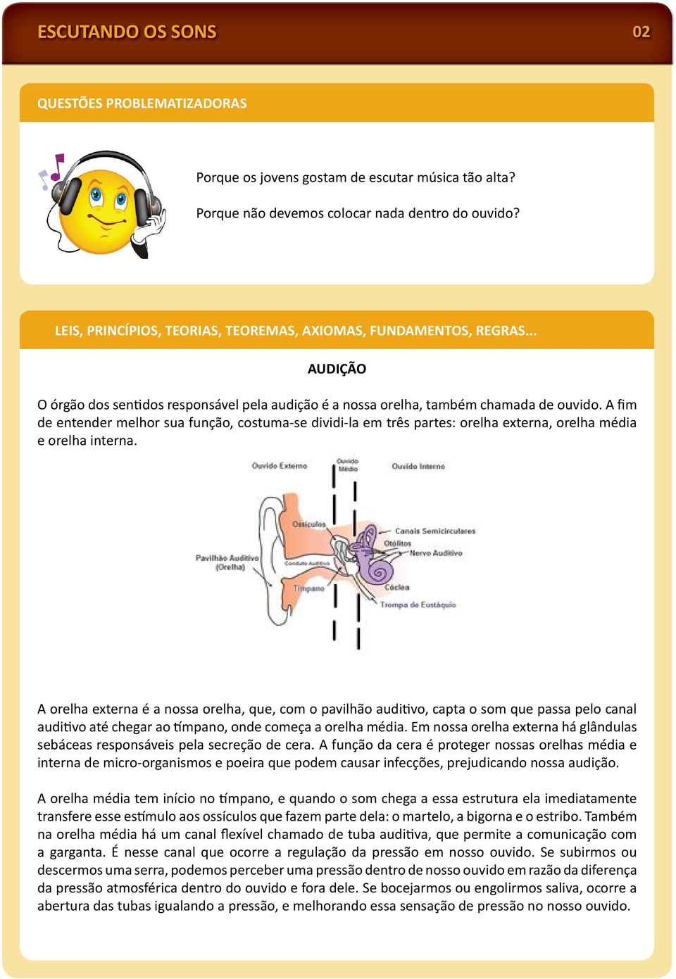 A fim de entender melhor sua função, costuma-se dividi-la em três partes: orelha externa, orelha média e orelha interna.