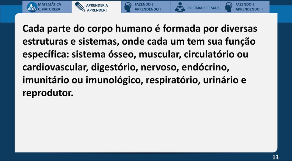 específica: sistema ósseo, muscular, circulatório ou cardiovascular, digestório,