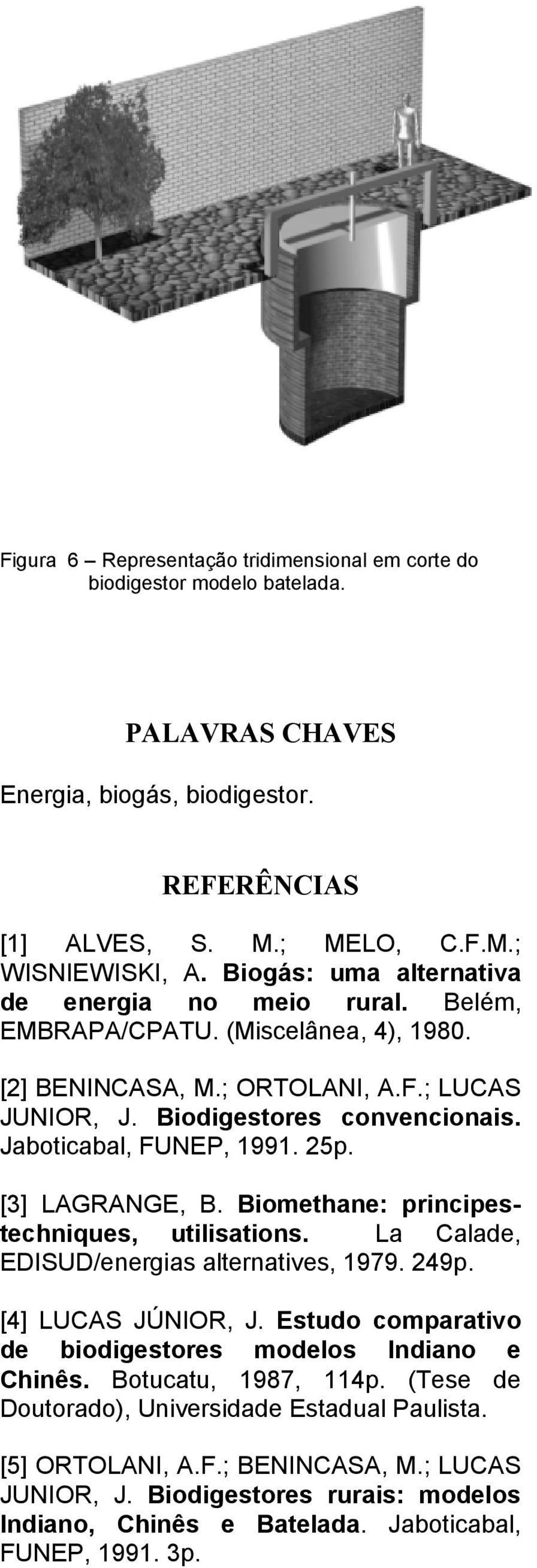 Jaboticabal, FUNEP, 1991. 25p. [3] LAGRANGE, B. Biomethane: principestechniques, utilisations. La Calade, EDISUD/energias alternatives, 1979. 249p. [4] LUCAS JÚNIOR, J.
