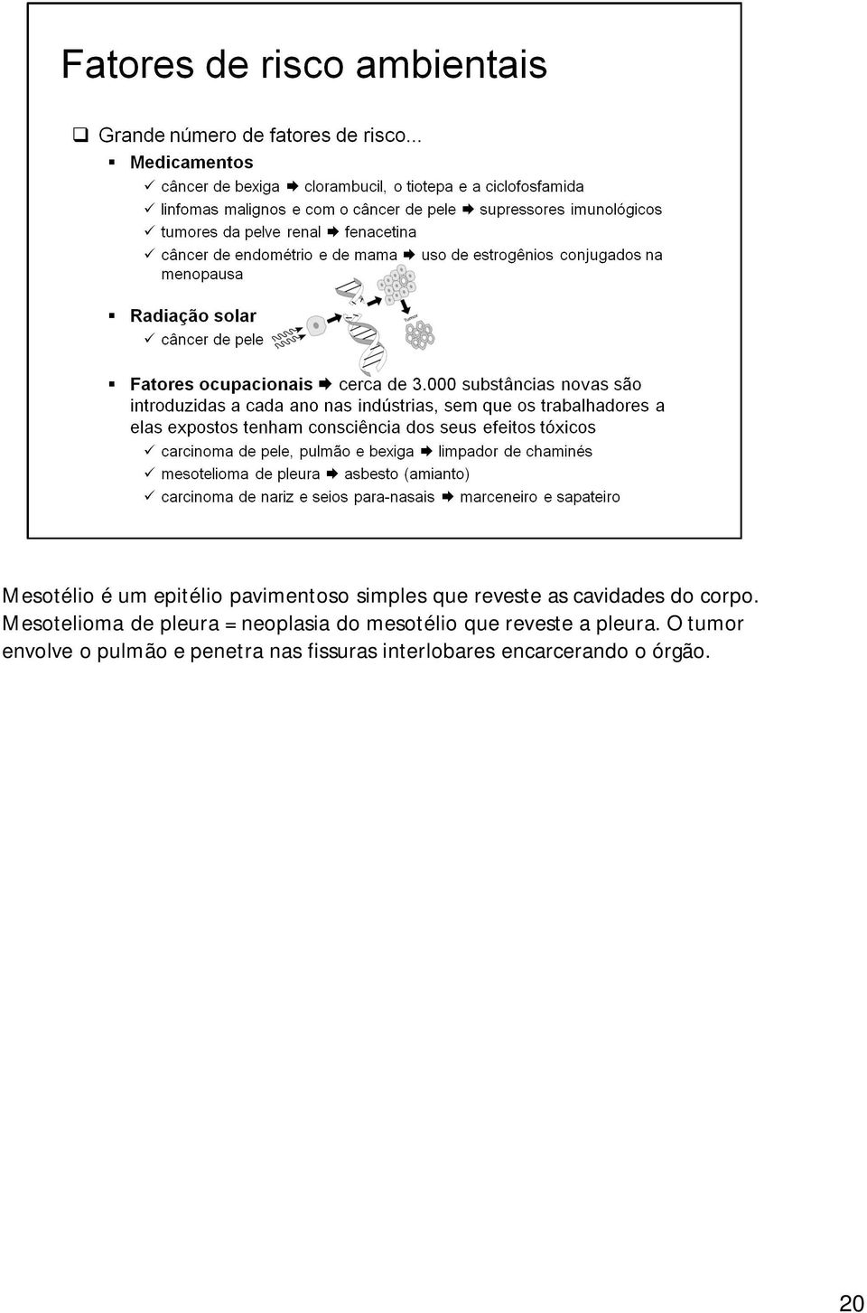 Mesotelioma de pleura = neoplasia do mesotélio que reveste