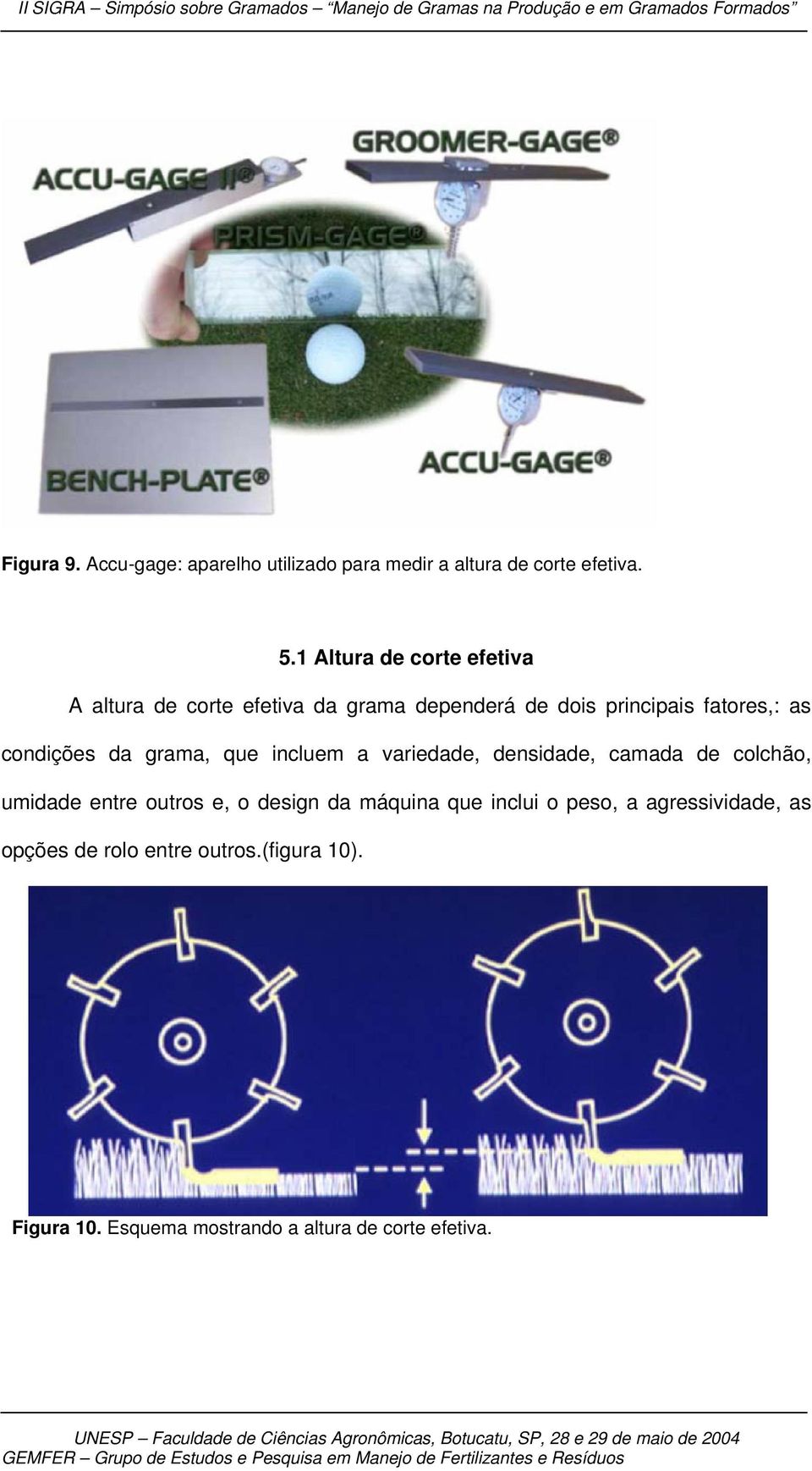 condições da grama, que incluem a variedade, densidade, camada de colchão, umidade entre outros e, o design