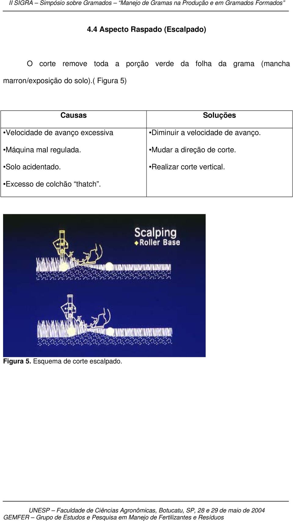 ( Figura 5) Causas Velocidade de avanço excessiva Máquina mal regulada. Solo acidentado.