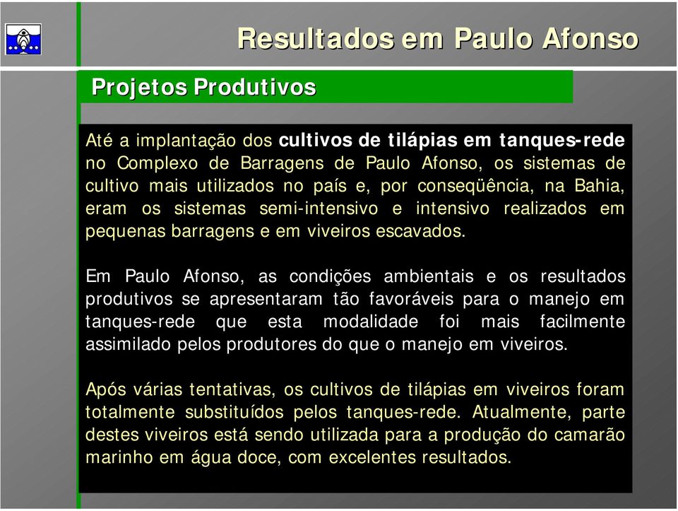 Em Paulo Afonso, as condições ambientais e os resultados produtivos se apresentaram tão favoráveis para o manejo em tanques-rede que esta modalidade foi mais facilmente assimilado pelos produtores