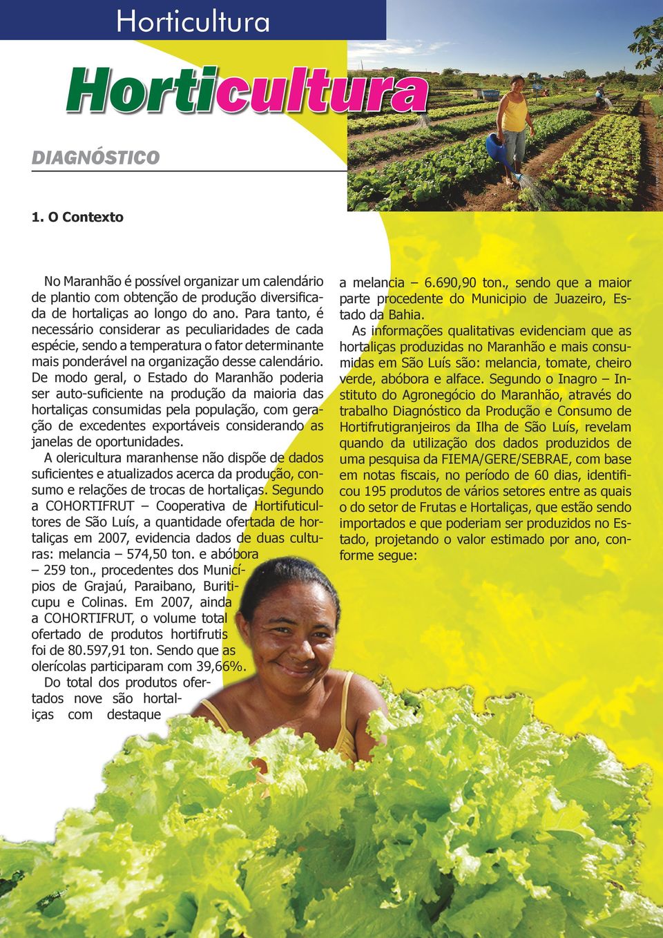 De modo geral, o Estado do Maranhão poderia ser auto-suficiente na produção da maioria das hortaliças consumidas pela população, com geração de excedentes exportáveis considerando as janelas de