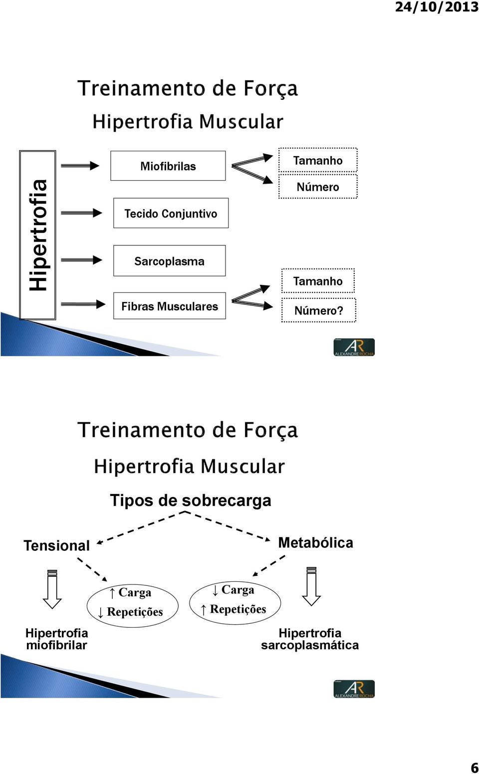 Tipos de sobrecarga Tensional Metabólica Hipertrofia