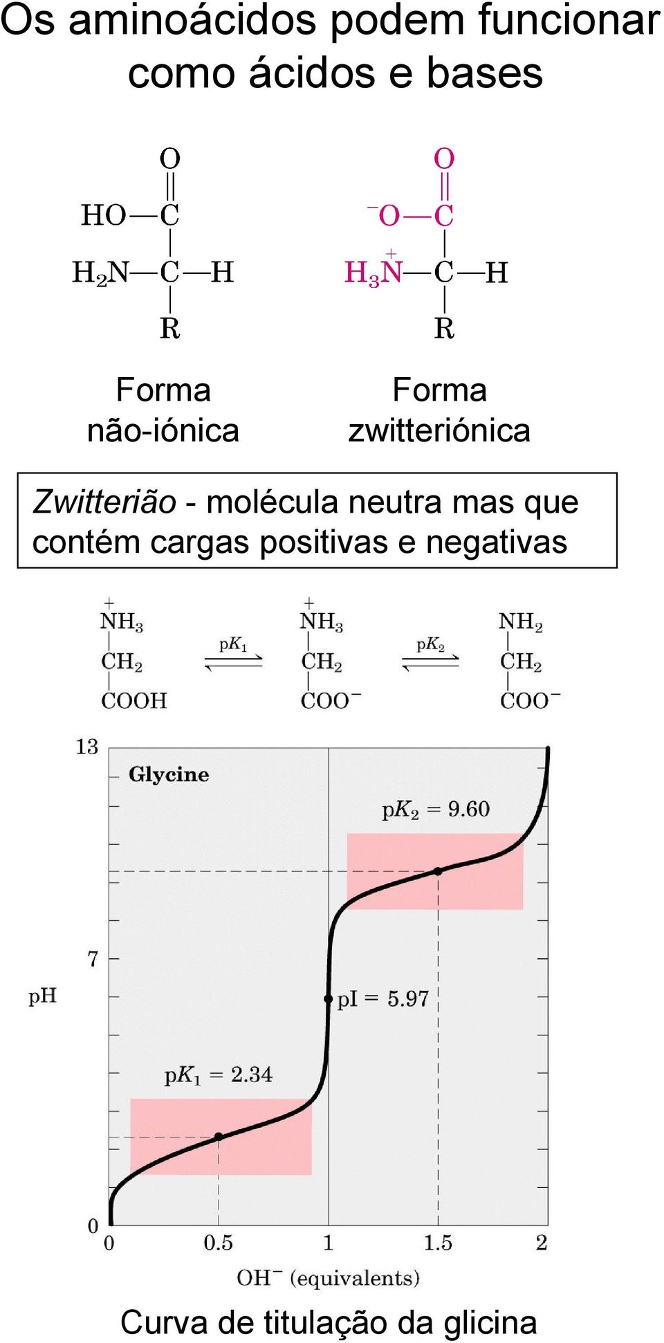 Zwitterião - molécula neutra mas que contém