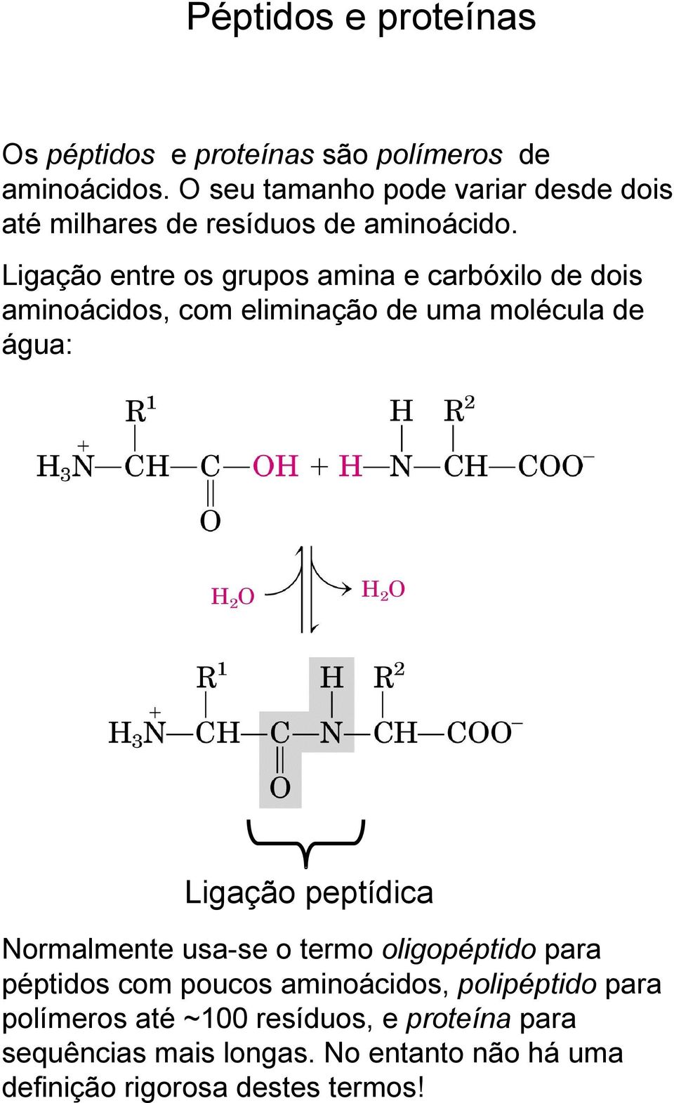 Ligação entre os grupos amina e carbóxilo de dois aminoácidos, com eliminação de uma molécula de água: Ligação peptídica