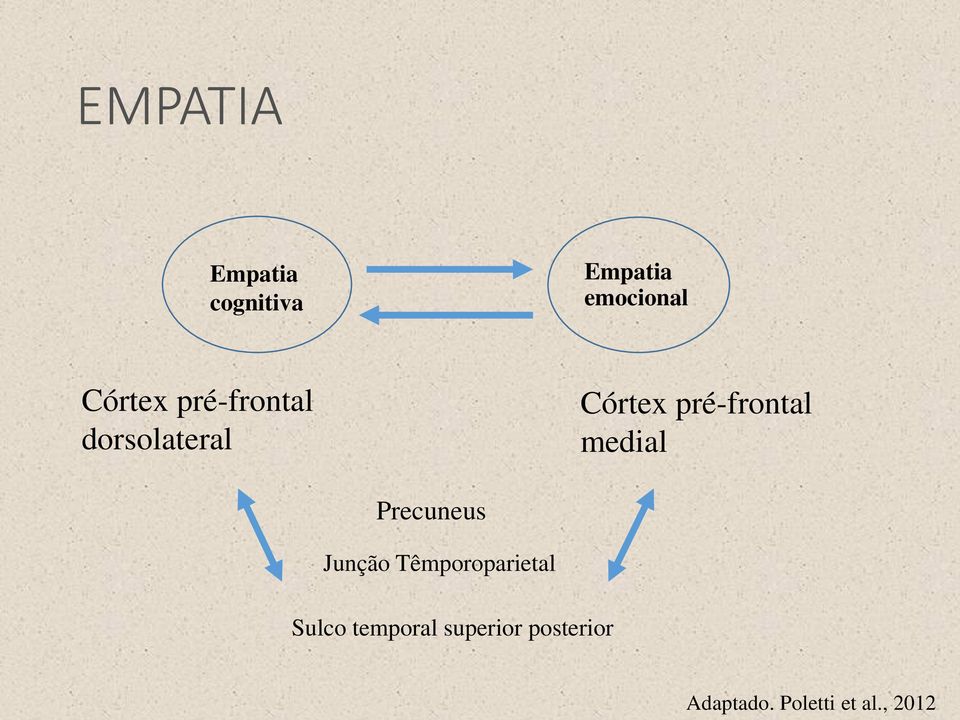 pré-frontal medial Precuneus Junção