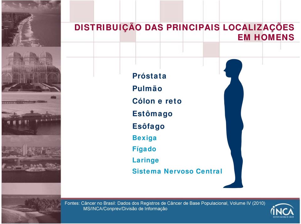 Sistema Nervoso Central Fontes: Câncer no Brasil: Dados dos