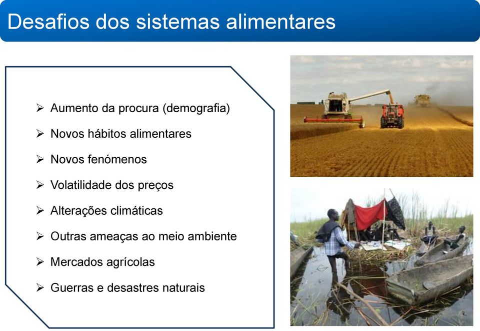 Volatilidade dos preços Alterações climáticas Outras