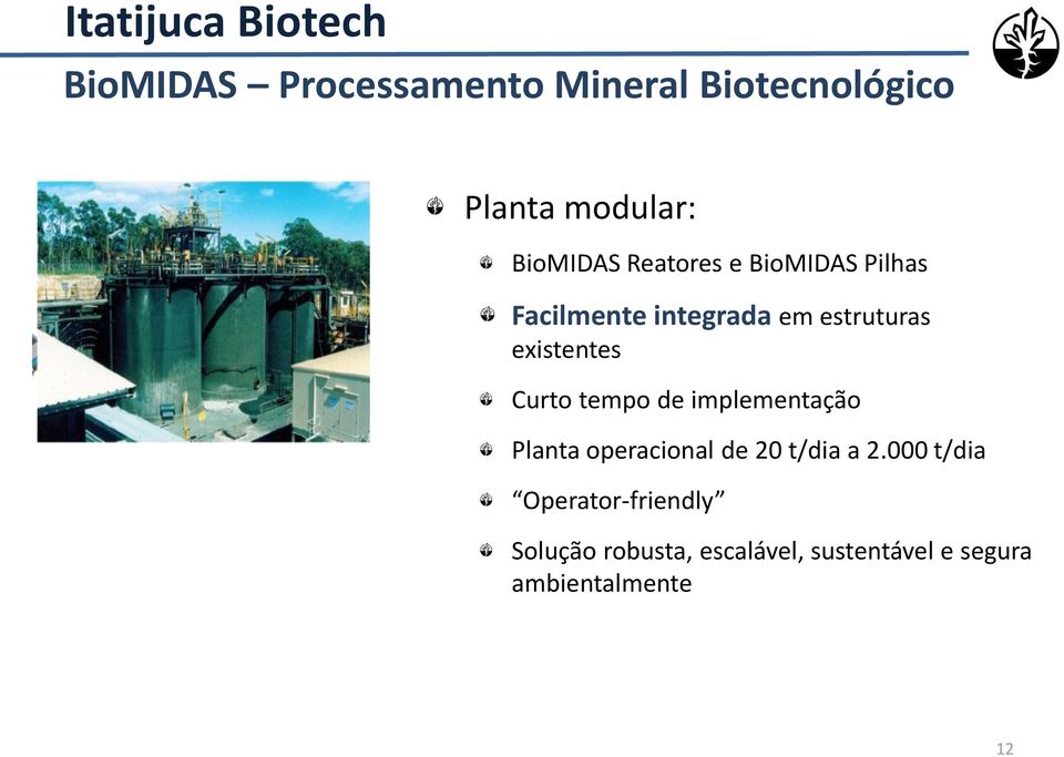 Curto tempo de implementação Planta operacional de 20 t/dia a 2.