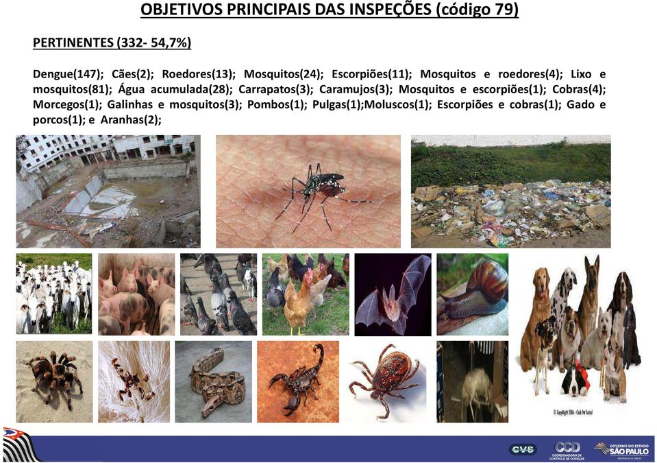 acumulada(28); Carrapatos(3); Caramujos(3); Mosquitos e escorpiões(1); Cobras(4); Morcegos(1);