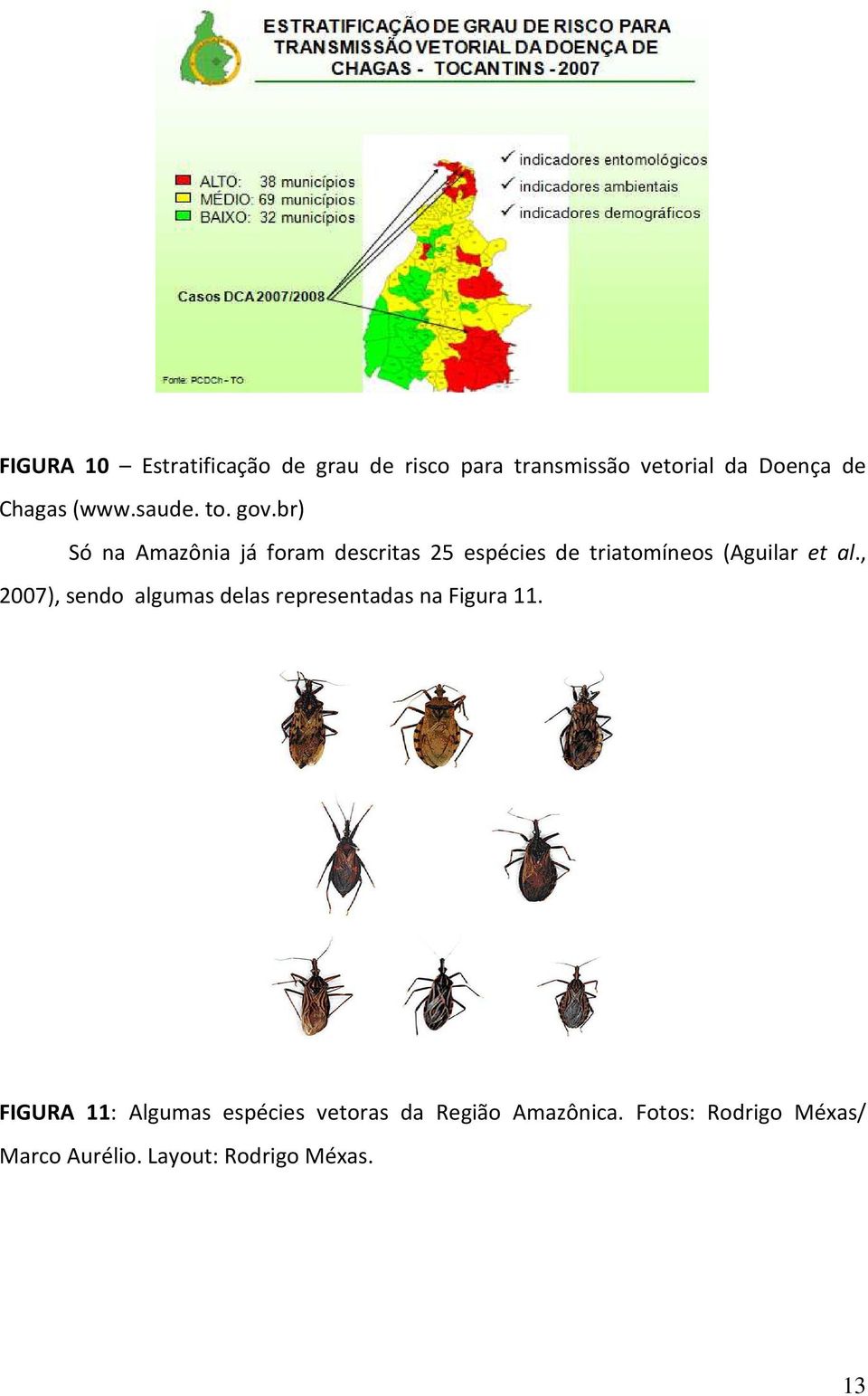 br) Só na Amazônia já foram descritas 25 espécies de triatomíneos (Aguilar et al.