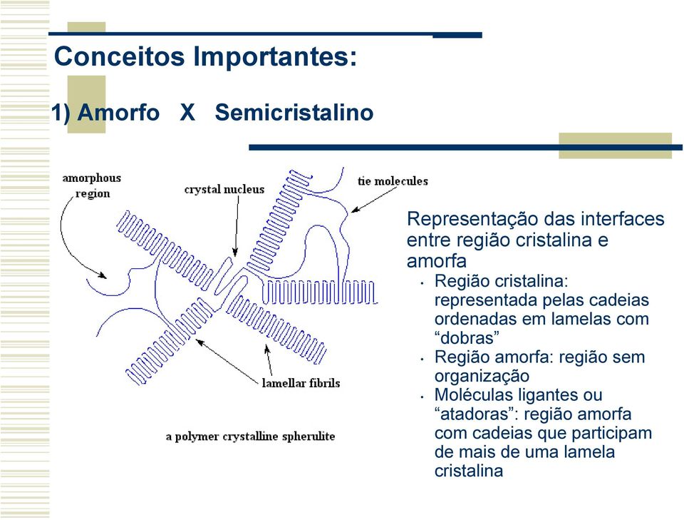 ordenadas em lamelas com dobras Região amorfa: região sem organização Moléculas