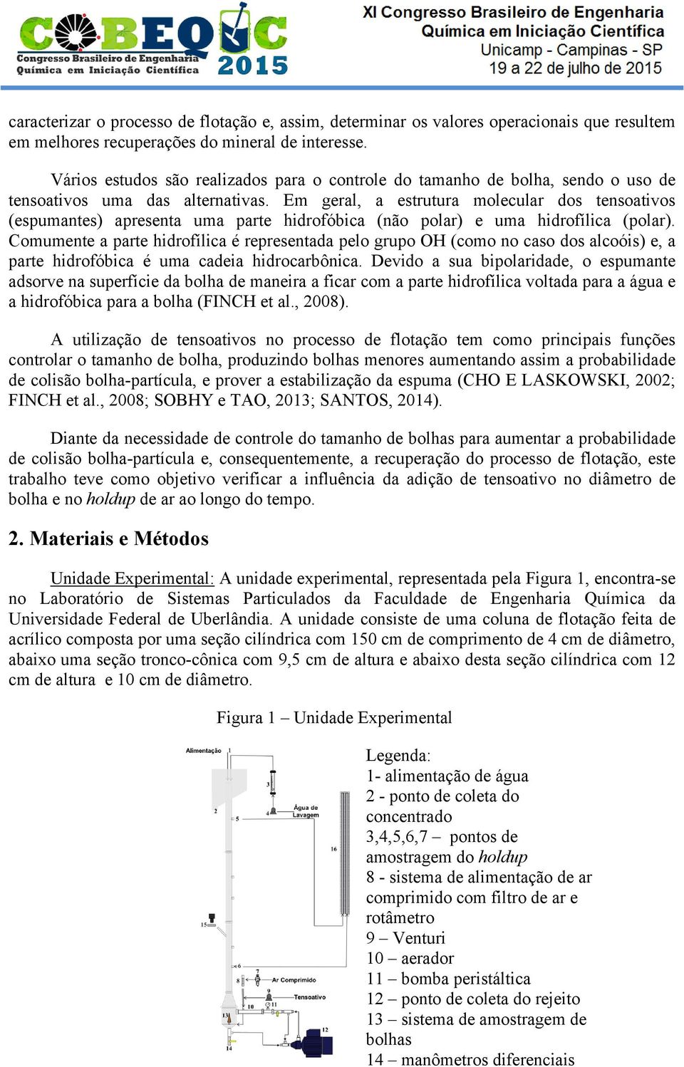 Em geral, a estrutura molecular dos tensoativos (espumantes) apresenta uma parte hidrofóbica (não polar) e uma hidrofílica (polar).