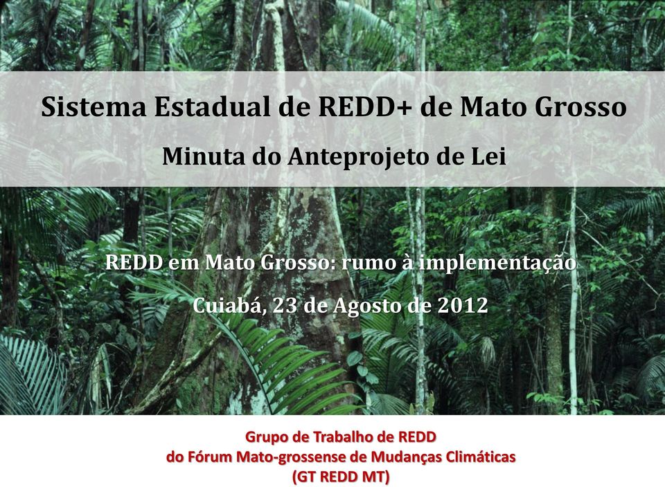 implementação Cuiabá, 23 de Agosto de 2012 Grupo de