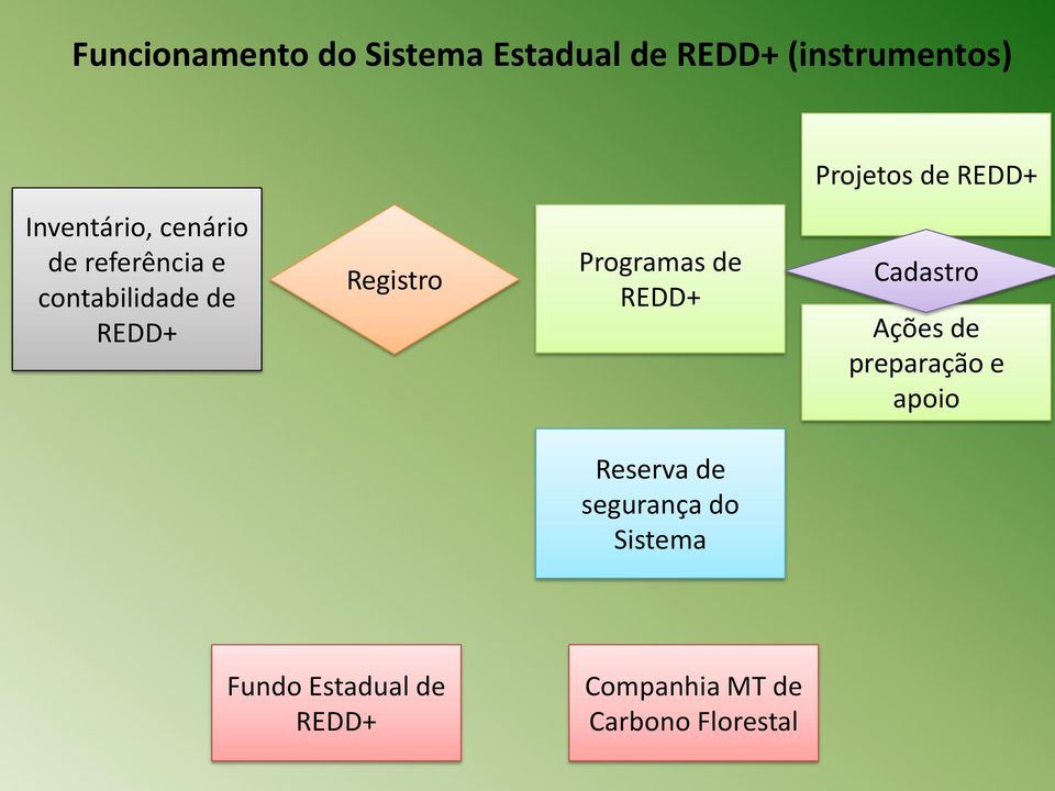 Registro Programas de REDD+ Cadastro Ações de preparação e apoio Reserva