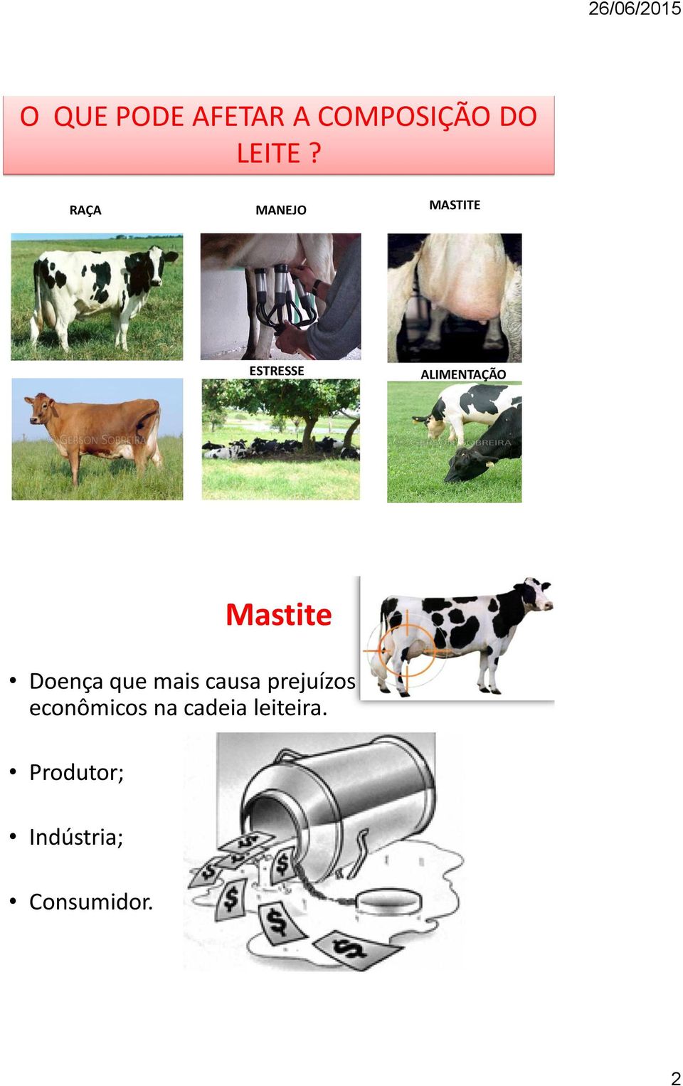 Mastite Doença que mais causa prejuízos