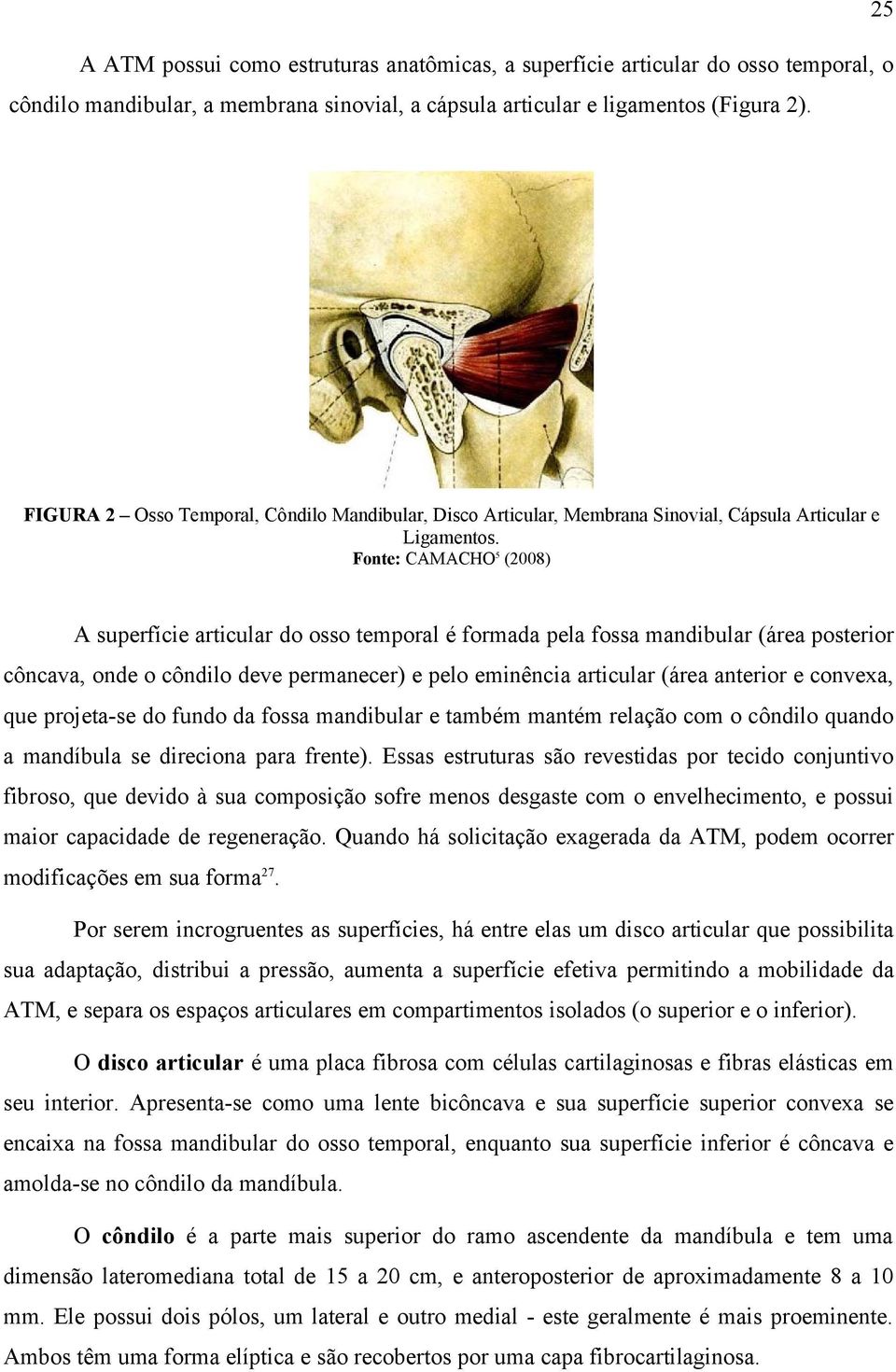 Fonte: CAMACHO 5 (2008) A superfície articular do osso temporal é formada pela fossa mandibular (área posterior côncava, onde o côndilo deve permanecer) e pelo eminência articular (área anterior e