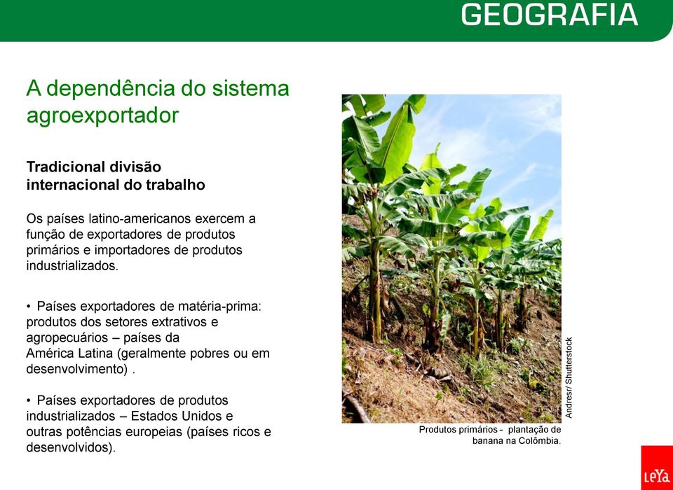 Países exportadores de matéria-prima: produtos dos setores extrativos e agropecuários países da América Latina (geralmente pobres ou em