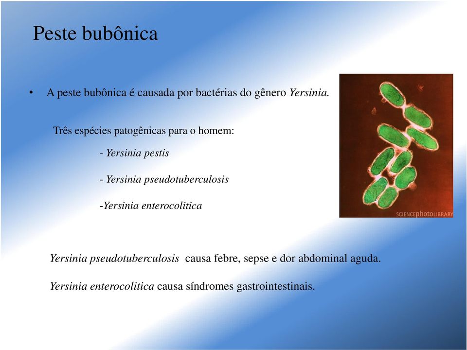 pseudotuberculosis -Yersinia enterocolitica Yersinia pseudotuberculosis causa