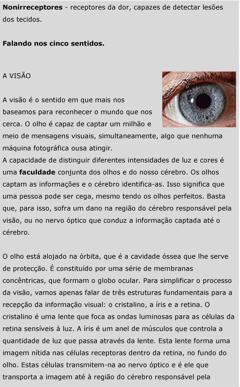 A capacidade de distinguir diferentes intensidades de luz e cores é uma faculdade conjunta dos olhos e do nosso cérebro. Os olhos captam as informações e o cérebro identifica-as.