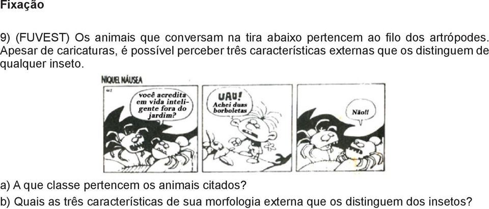 Apesar de caricaturas, é possível perceber três características externas que os