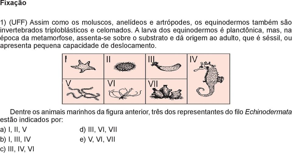 A larva dos equinodermos é planctônica, mas, na p poca da metamorfose, assenta-se sobre o substrato e dá origem ao adulto, que é