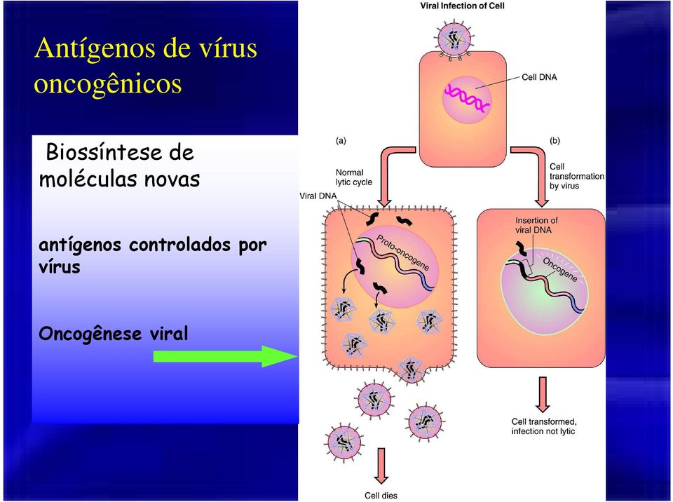 moléculas novas antígenos