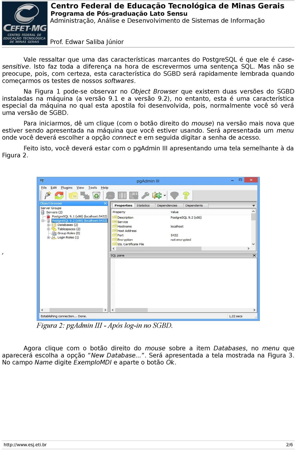 Na Figura 1 pode-se observar no Object Browser que existem duas versões do SGBD instaladas na máquina (a versão 9.1 e a versão 9.