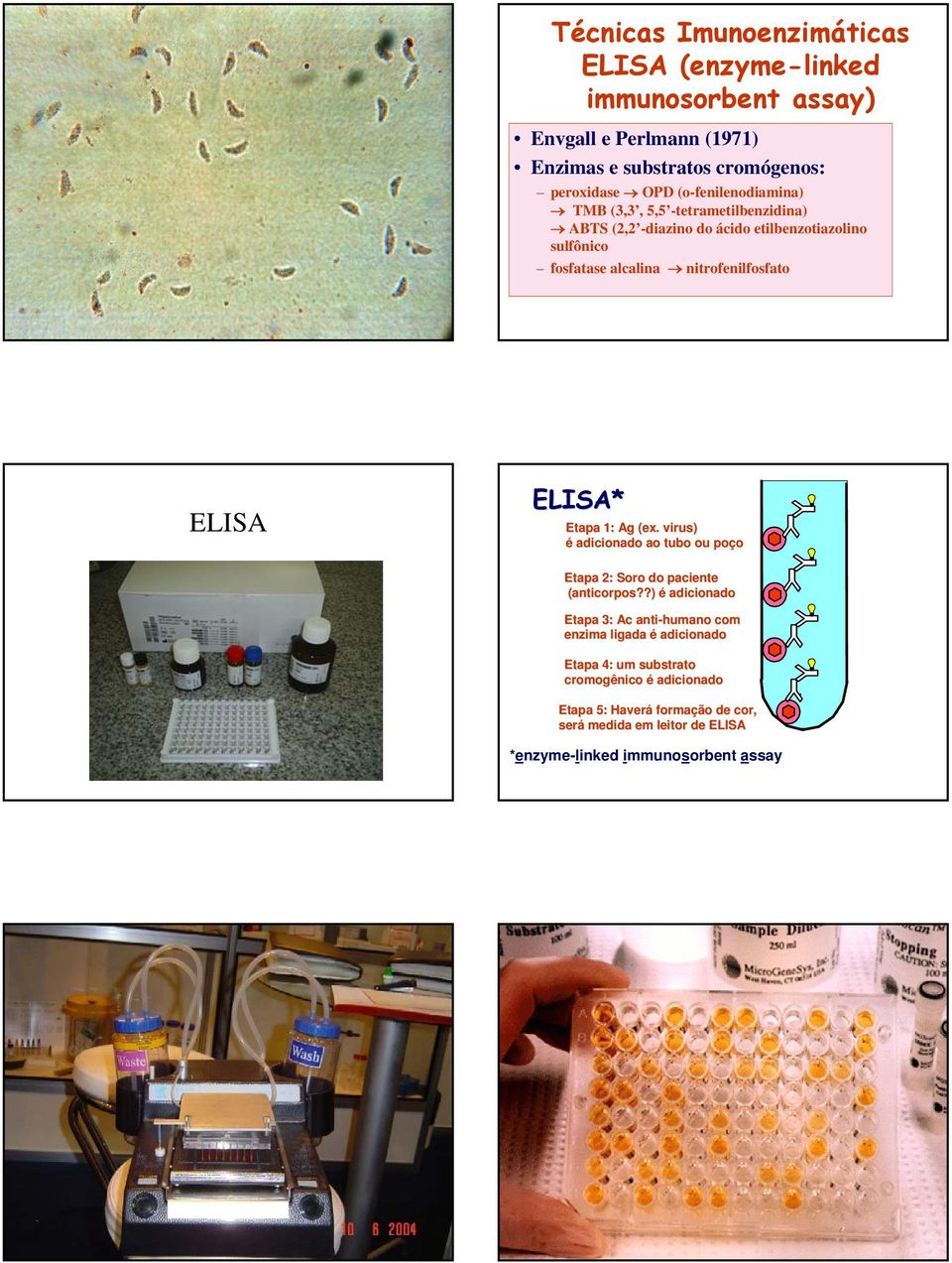LISA LISA* tapa 1: Ag (ex. virus) é adicionado ao tubo ou poço tapa 2: Soro do paciente (anticorpos?