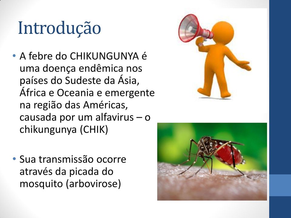 região das Américas, causada por um alfavirus o chikungunya