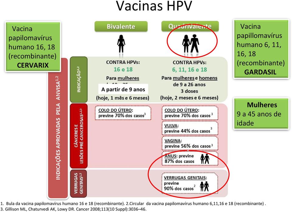 Bula da vacina papilomavírus humano 16 e 18 (recombinante). 2.